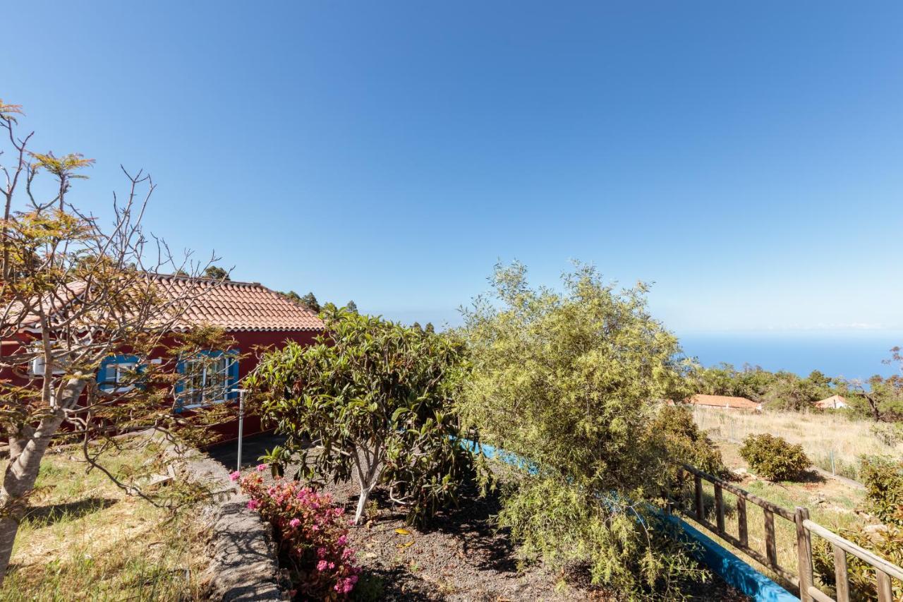 Casa Buganvillas, Reformado Пунтагорда Екстер'єр фото